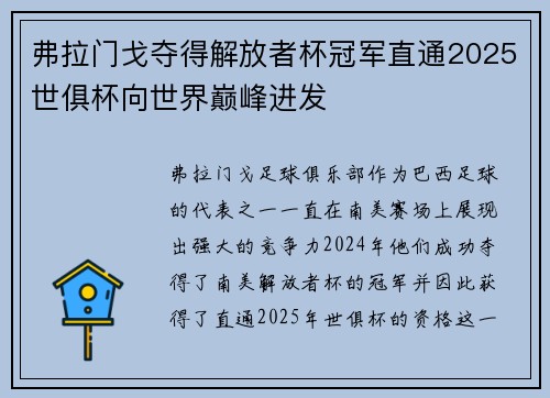 弗拉门戈夺得解放者杯冠军直通2025世俱杯向世界巅峰进发